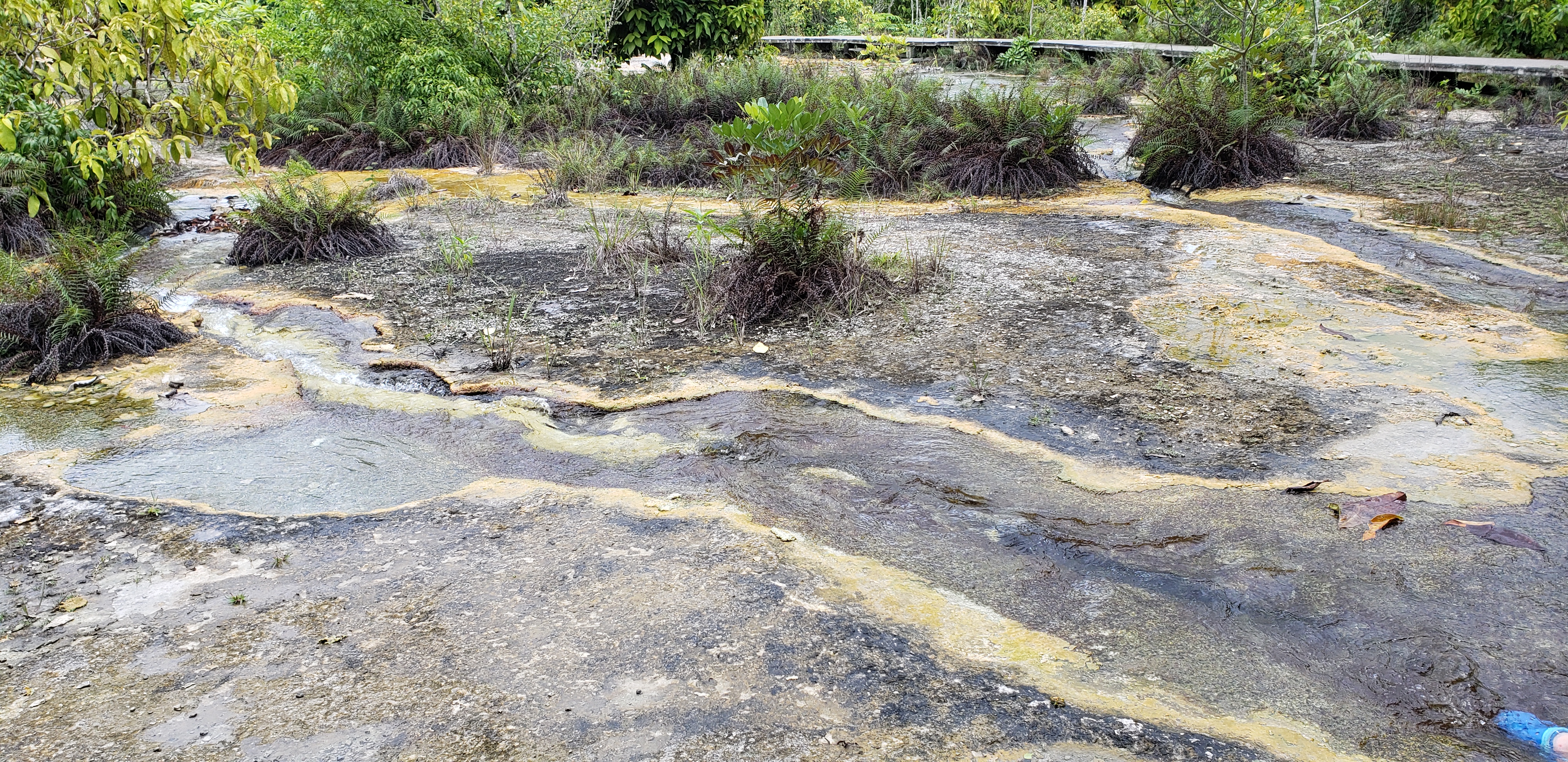 《泰国甲米府自由行-第四天-翡翠池、温泉、皮划艇》