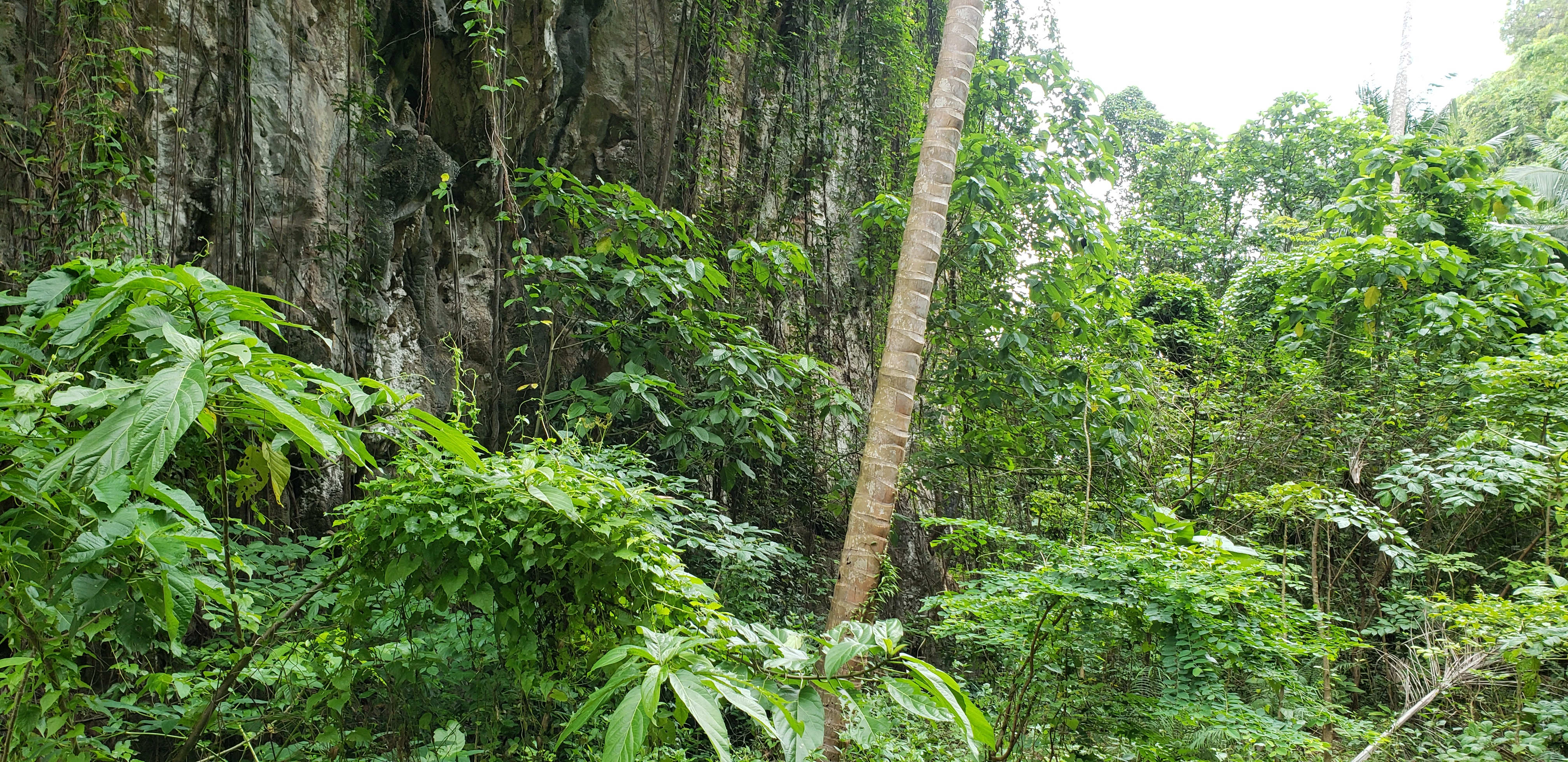 《泰国甲米府自由行-第六天-Hong岛一日游》
